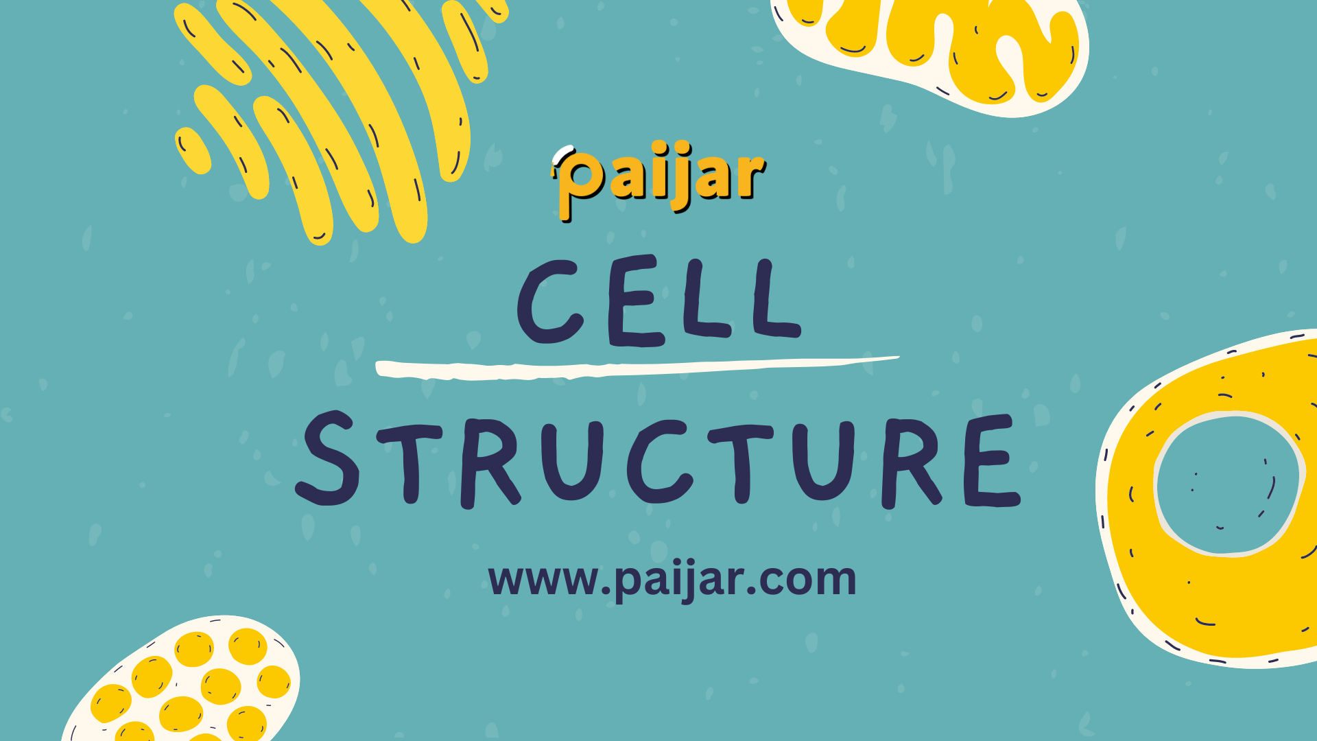 The Cell structure: living organisms at a microscopic level