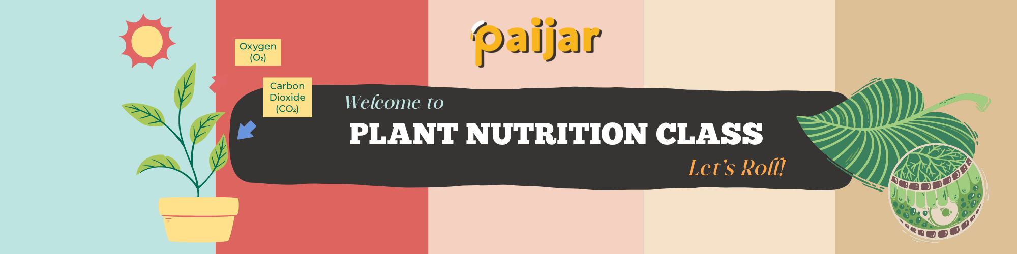 Plant Nutrition: Macronutrients and Micronutrients